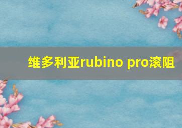 维多利亚rubino pro滚阻